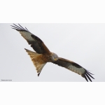 20210408 RM 1 DSC01412.jpg